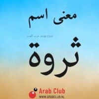 معنى اسم ثروه