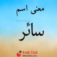 معنى اسم سائر