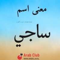 معنى اسم ساجي