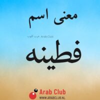 معنى اسم فطينه