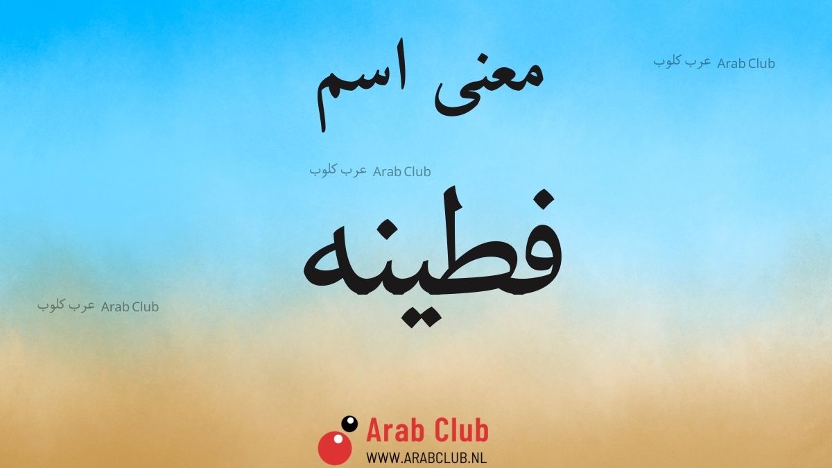 معنى اسم فطينه