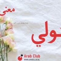 معنى اسم متولي