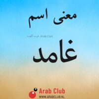 معنى اسم غامد