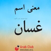 معنى اسم غسان