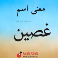 معنى اسم غصين