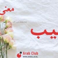 معنى اسم منيب