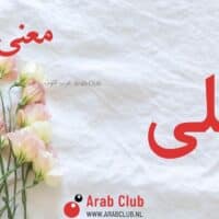 معنى اسم ليلى