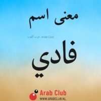 معنى اسم فادي