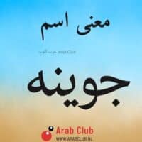 معنى اسم جوينه