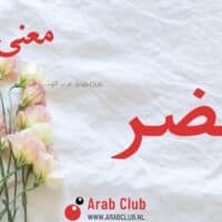 معنى اسم مضر