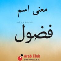 معنى اسم فضول