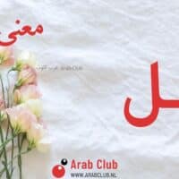 معنى اسم وائل