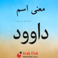 معنى اسم داوود