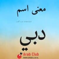 معنى اسم دبي