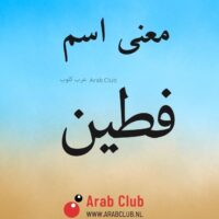 معنى اسم فطين