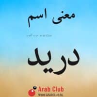 معنى اسم دريد