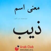 معنى اسم ذيب