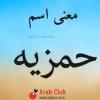 معنى اسم حمزيه