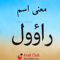 معنى اسم راؤول