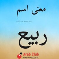 معنى اسم ربيع