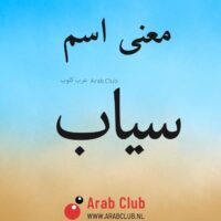 معنى اسم سياب