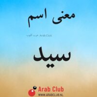 معنى اسم سيد