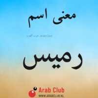 معنى اسم رميس