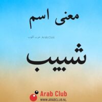 معنى اسم شبيب