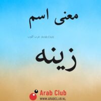 معنى اسم زينه