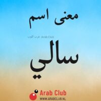 معنى اسم سالي