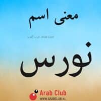 معنى اسم نورس