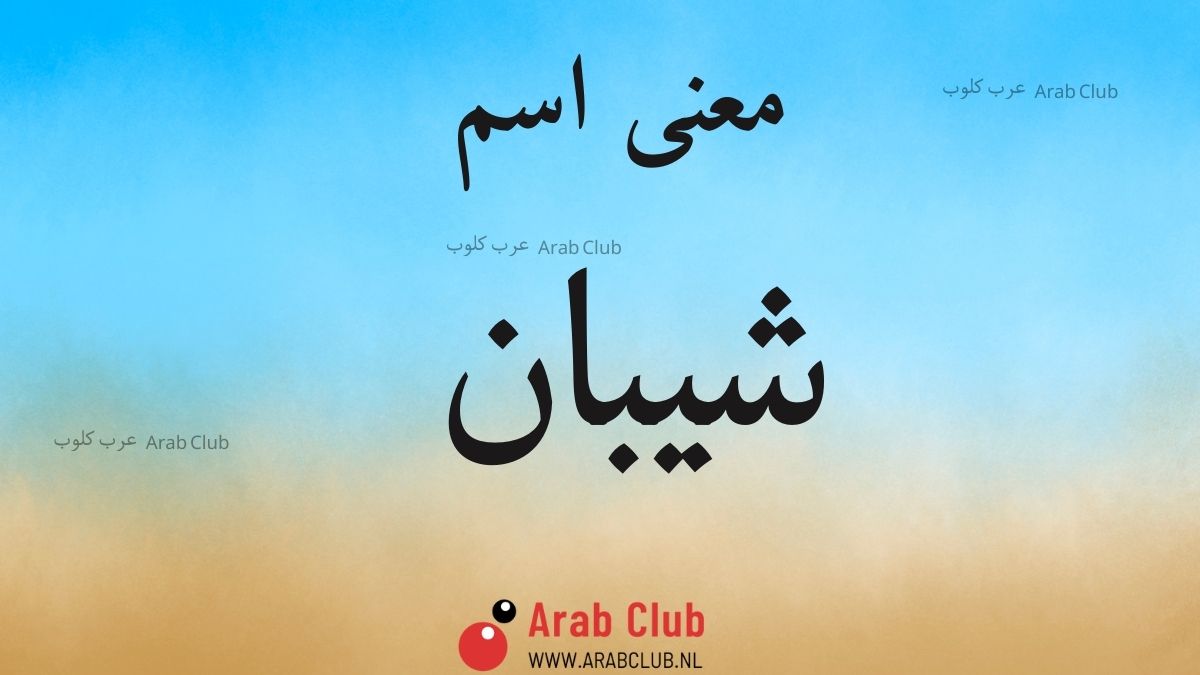 معنى اسم شيبان