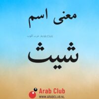 معنى اسم شيث