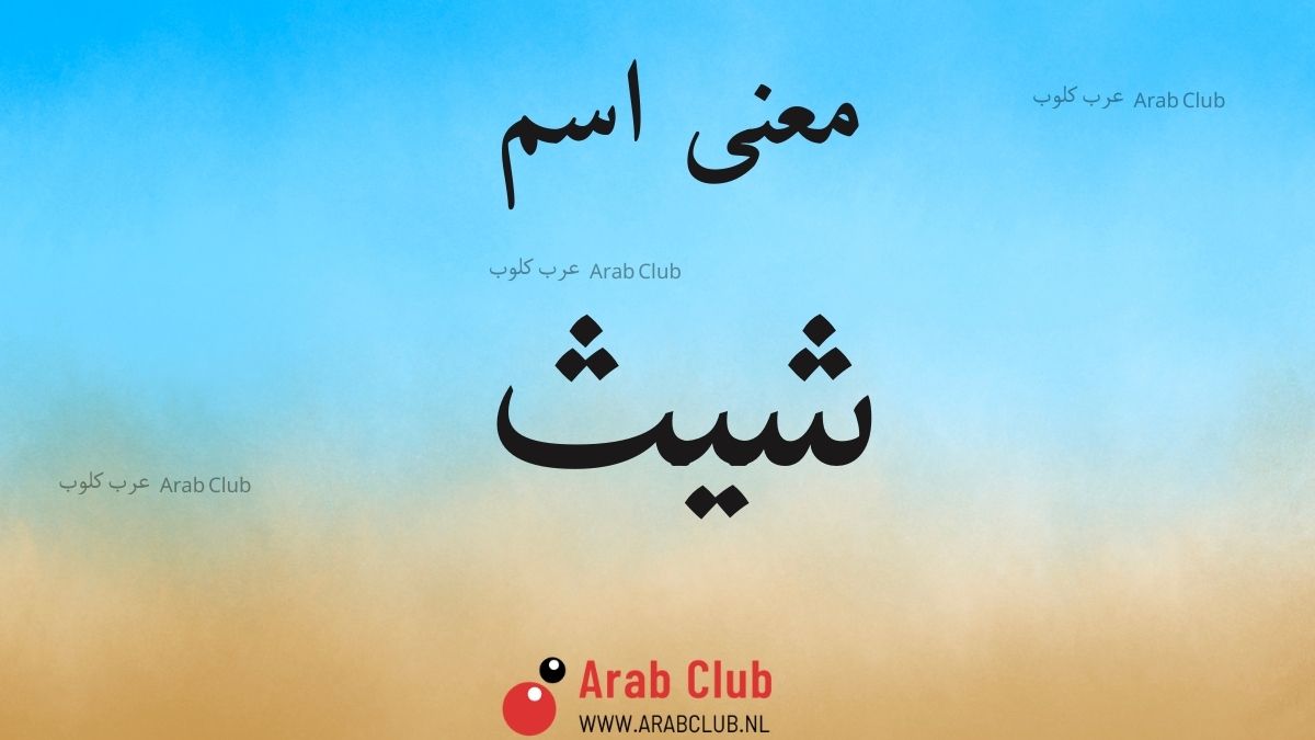 معنى اسم شيث