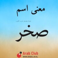 معنى اسم صخر