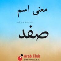 معنى اسم صفد