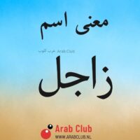 معنى اسم زاجل