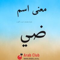 معنى اسم ضي