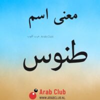 معنى اسم طنوس