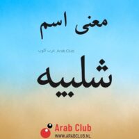 معنى اسم شلبيه