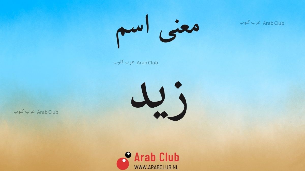 معنى اسم زيد