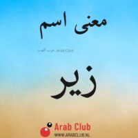 معنى اسم زير