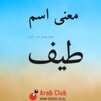 معنى اسم طيف