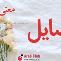 معنى اسم صايل