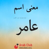 معنى اسم عامر