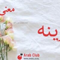 معنى اسم رينه