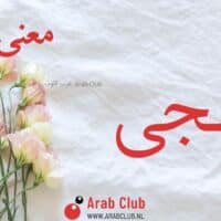 معنى اسم سجى