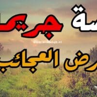 قصة جريمة وندرلاندر