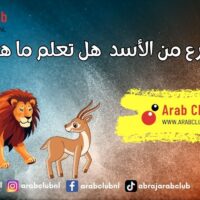 الغزال اسرع من الأسد ورغم ذلك لا يستطيع الهرب منه – هل تعلم ما هو السبب