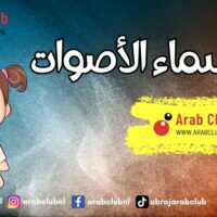 أسماء الأصوات